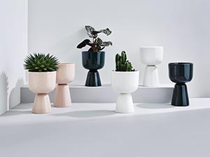 Nappula by Matti Klenell